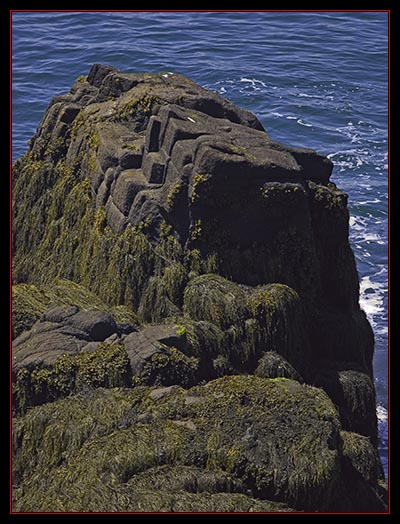 Southwest Head View