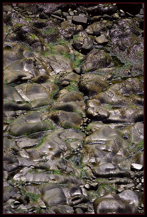 Smoothed Rocks by the Water