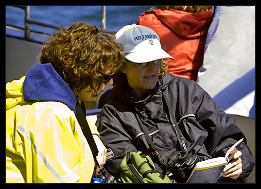 Toronto Birders - Conferring over a Field Guide