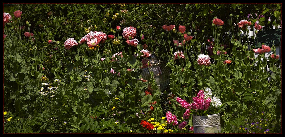 Partial View of the Next Door Garden