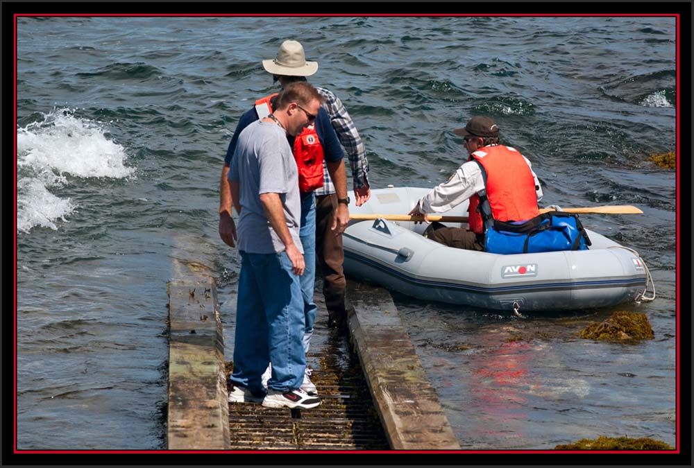 Coming Ashore - Matinicus Rock - Maine Coastal Islands National Wildlife Refuge