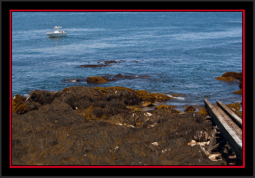 Ocean View - Matinicus Rock