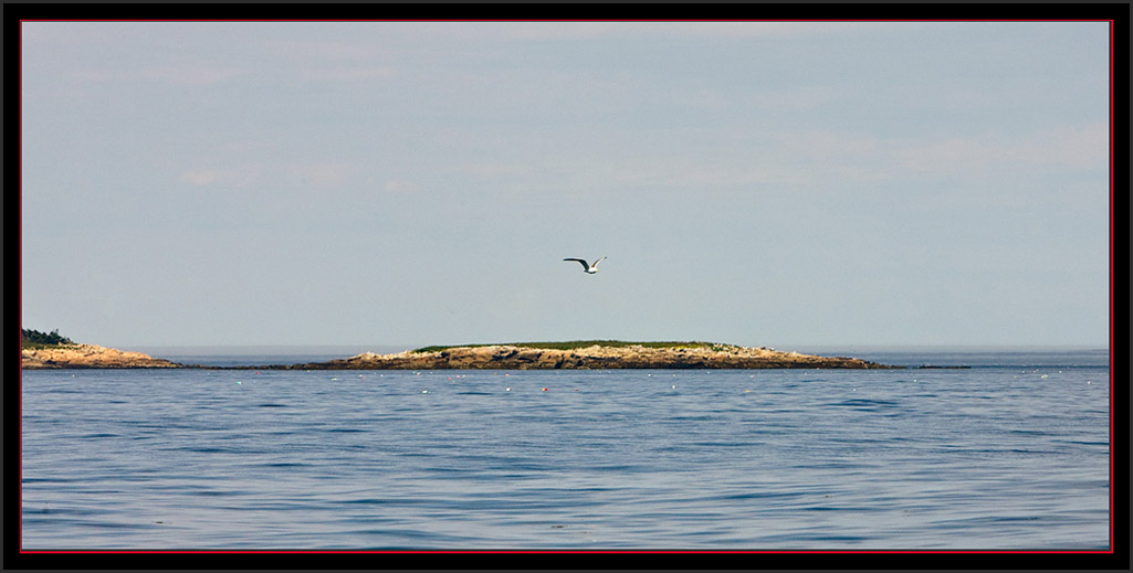 A Maine Coastal Islands National Wildlife Refuge Island