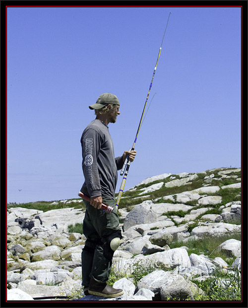 Nathan Geared up for Finding Chicks in Ledge - Matinicus Rock