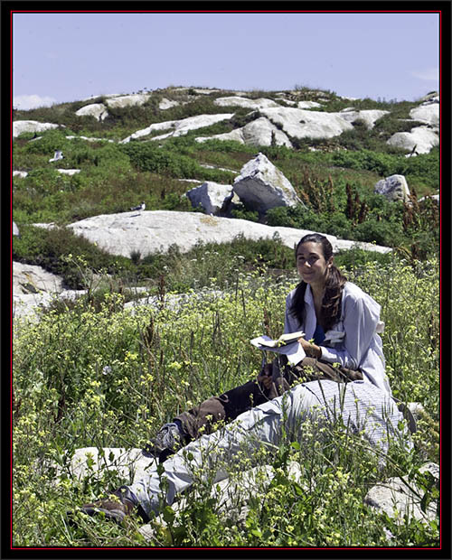 Caroline Documenting Chick Information - Matinicus Rock