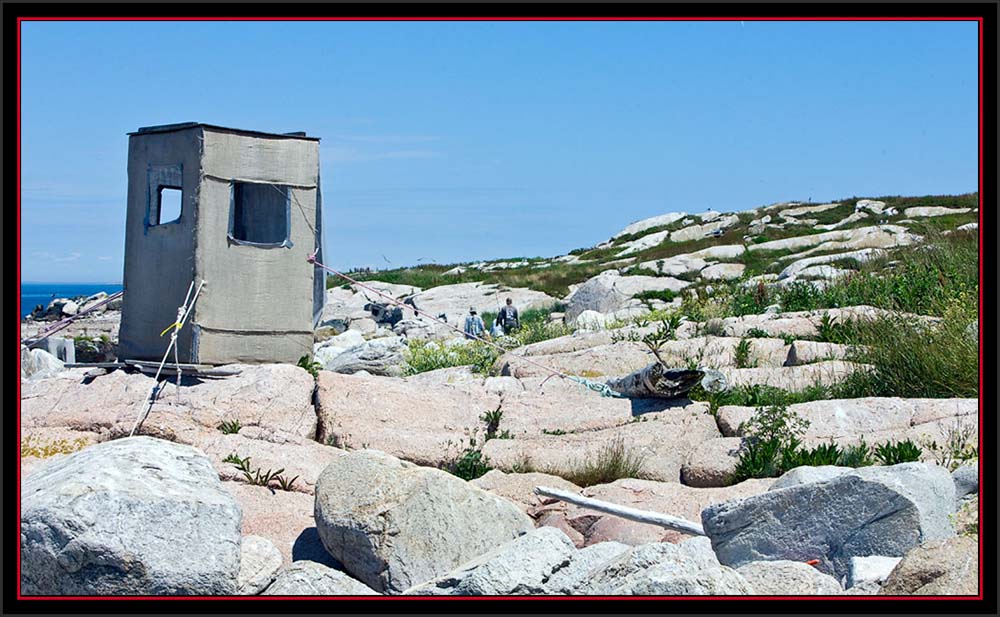 Observation Blind on the Ledge - Matinicus Rock