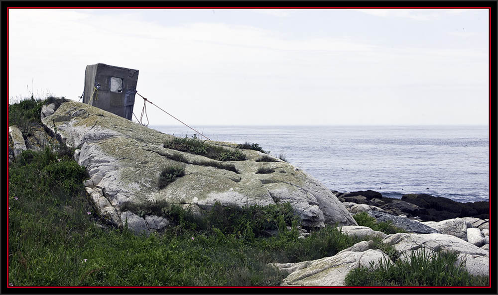 Observation Blind - Matinicus Rock