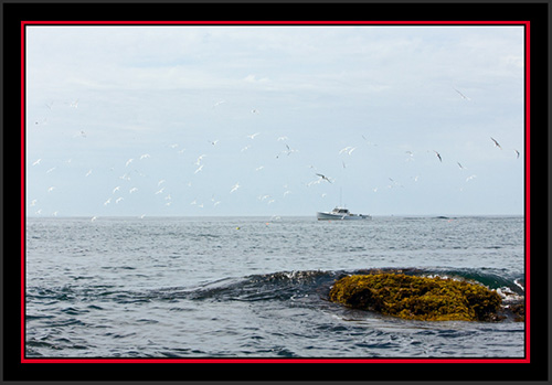 Ocean View - Matinicus Rock