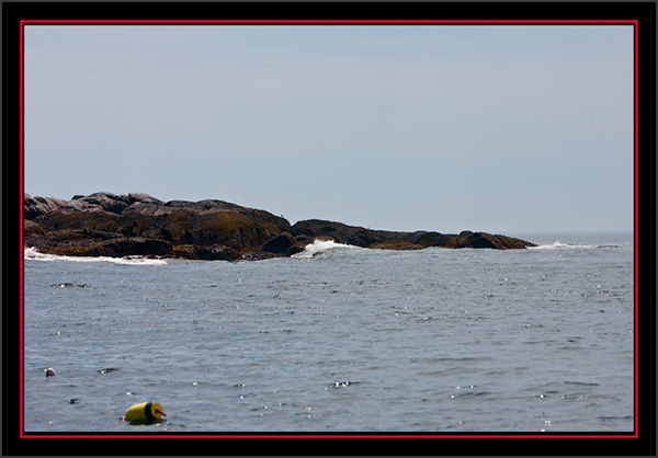 Island View - Matinicus Rock