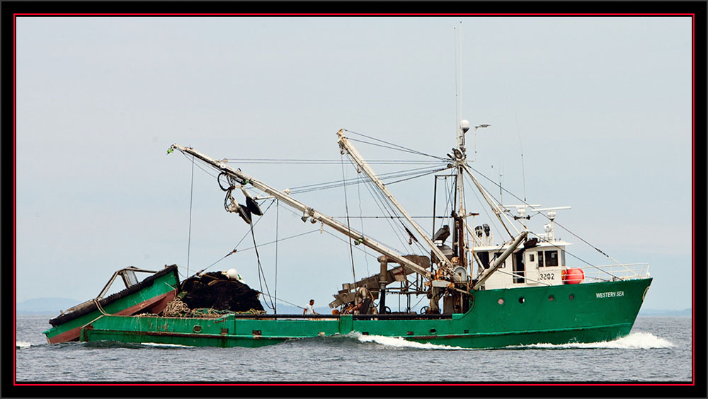 Working Boat