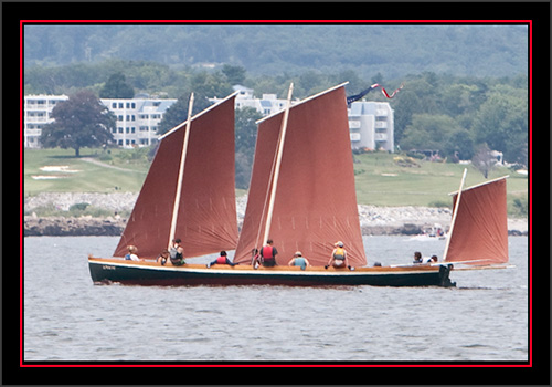 Tanbark Sails