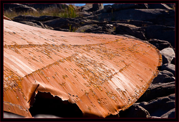 Another view of the Sheridan wreck at Lobster Cove