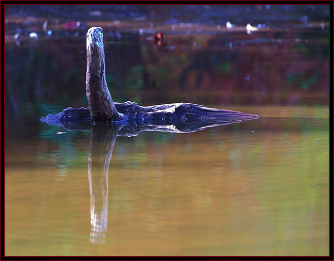 At the Ice Pond