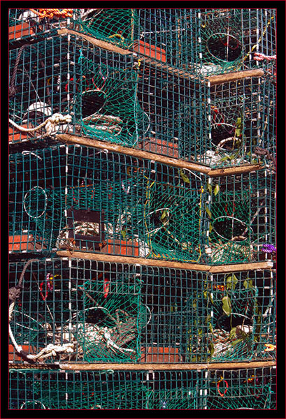 Lobster Traps