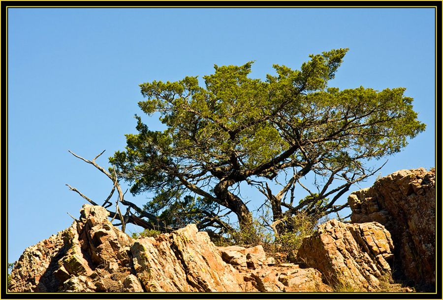 Color on the Prairie - Wichita Mountains Wildlife Refuge