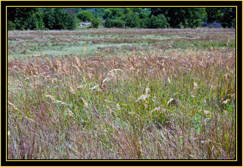 Color on the Prairie - Wichita Mountains Wildlife Refuge