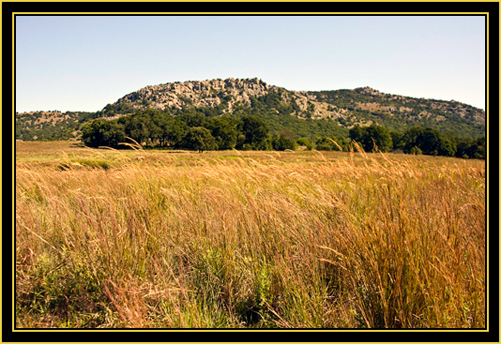 Color on the Prairie - Wichita Mountains Wildlife Refuge