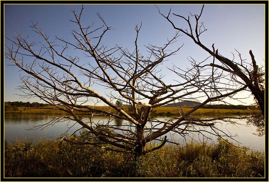 View at French Lake - Wichita Mountains Wildlife Refuge