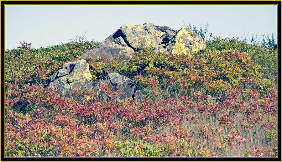 Prairie & Ledge - Wichita Mountains Wildlife Refuge