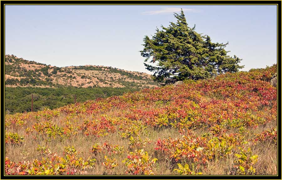 Prairie Color & Ledge - Wichita Mountains Wildlife Refuge