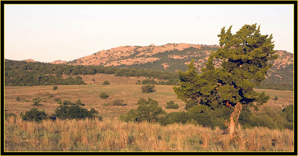 Prairie View - Wichita Mountains Wildlife Refuge