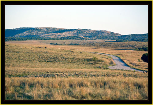 View in the Special Use Area - Wichita Mountains Wildlife Refuge