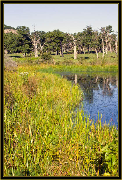 View at French Lake - Wichita Mountains Wildlife Refuge