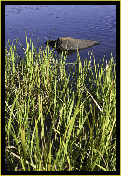 View at French Lake - Wichita Mountains Wildlife Refuge