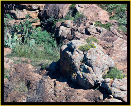 Looking High - Quanah Parker Lake - Wichita Mountains Wildlife Refuge