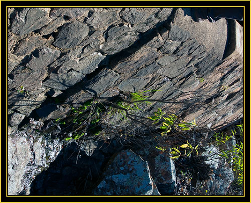 Wichita Mountains Wildlife Refuge