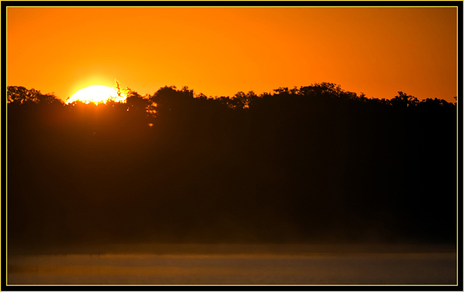 Mist on the Water as the Sun breaks the Treeline - Wichita Mountains Wildlife Refuge