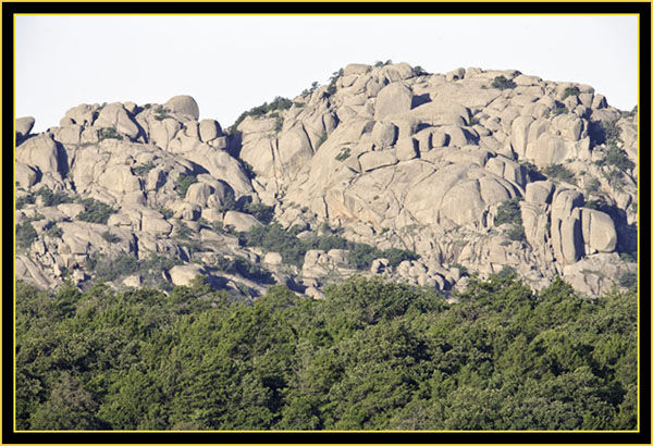 Trees and Ledge - Wichita Mountains Wildlife Refuge