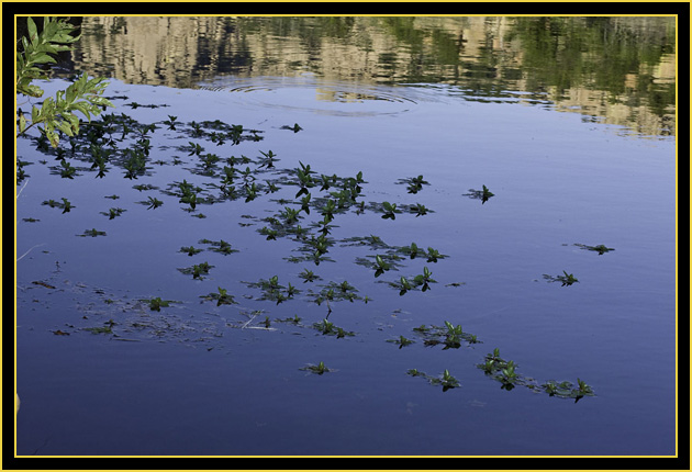 Treasure Lake - Wichita Mountains Wildlife Refuge