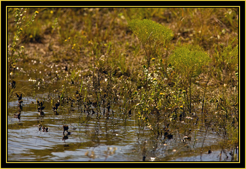 View in the Wichita Mountains Wildlife Refuge