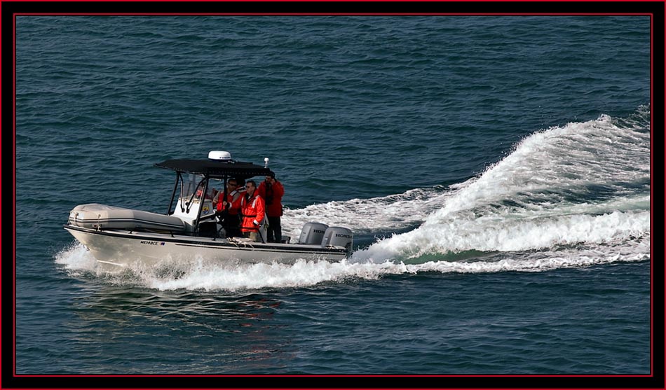 Incoming Boat, Petit Manan Island - Maine Coastal Islands National Wildlife Refuge