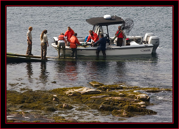 Boat Arrival and Unloading - Petit Manan Island - Maine Coastal Islands National Wildlife Refuge