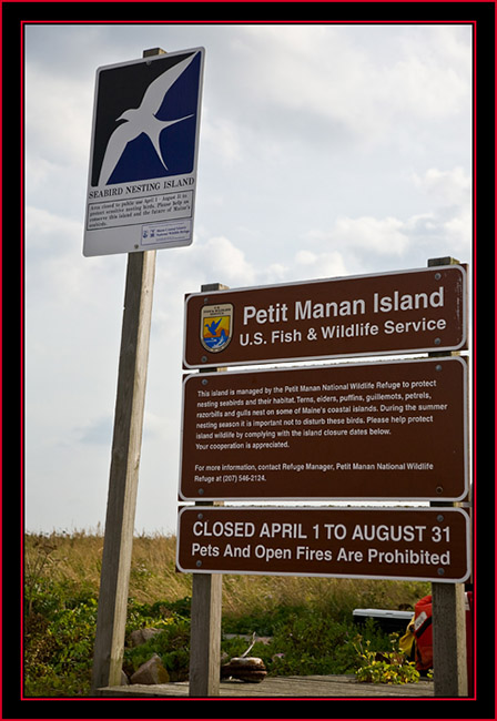 The Arrival - Petit Manan Island - Maine Coastal Islands National Wildlife Refuge