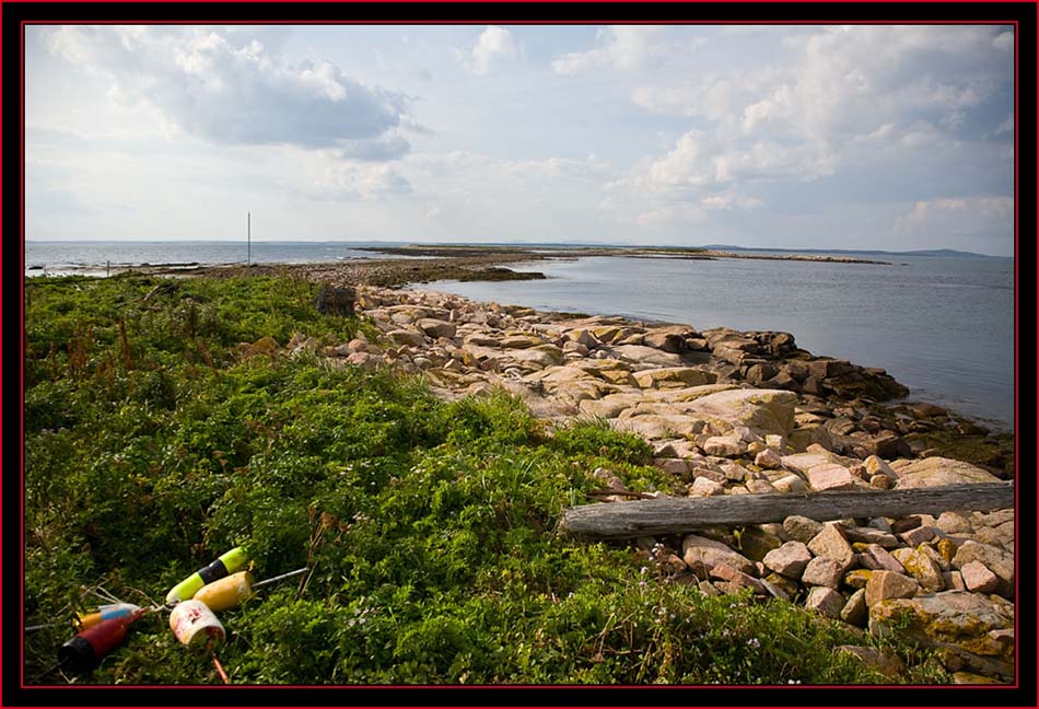 Shoreline View - Petit Manan Island - Maine Coastal Islands National Wildlife Refuge