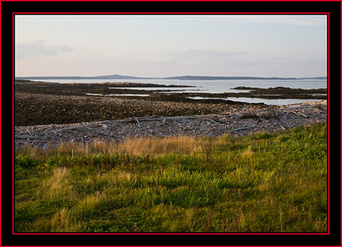 Driftwood on the Shore - Petit Manan Island - Maine Coastal Islands National Wildlife Refuge