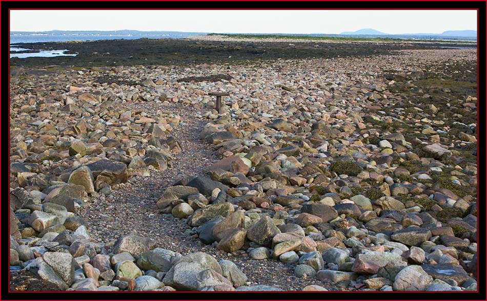 The Cleared Path at Low Tide - Petit Manan Island - Maine Coastal Islands National Wildlife Refuge