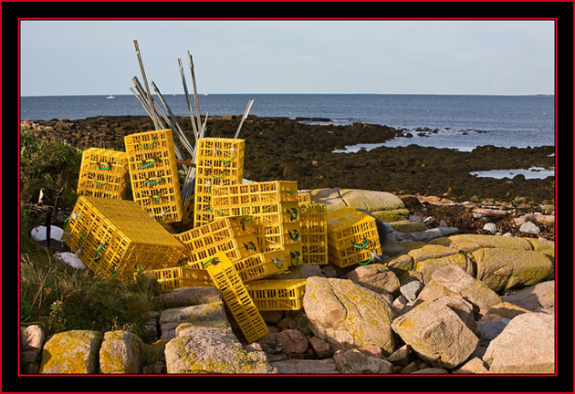 Crates for Moving Eiders - Petit Manan Island - Maine Coastal Islands National Wildlife Refuge