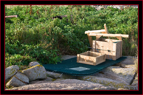 Disassembled Capture Pen Materials- Petit Manan Island - Maine Coastal Islands National Wildlife Refuge