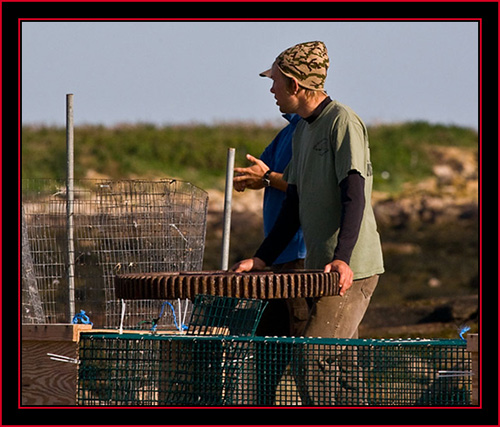 Brian by the Capture Box - Petit Manan Island - Maine Coastal Islands National Wildlife Refuge