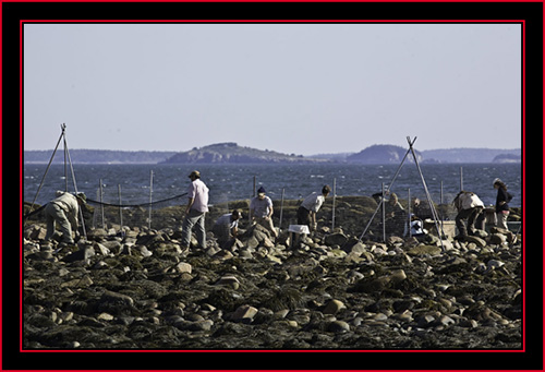 Installing the Fencing - Petit Manan Island - Maine Coastal Islands National Wildlife Refuge