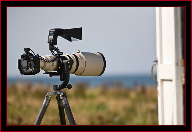 Photographic System in the Field - Petit Manan Island - Maine Coastal Islands National Wildlife Refuge