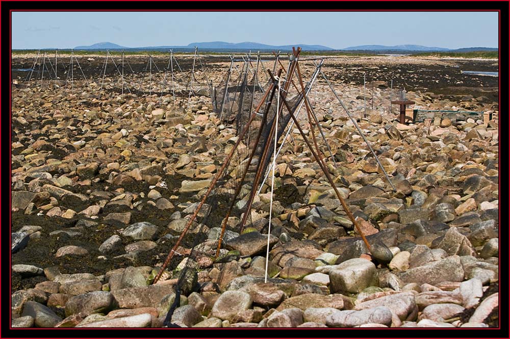 Completed Barrier - Petit Manan Island - Maine Coastal Islands National Wildlife Refuge