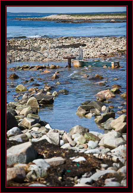 Cleared Path & Capture Zone - Petit Manan Island - Maine Coastal Islands National Wildlife Refuge