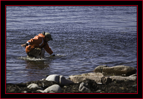 Rob on the Move - Petit Manan Island - Maine Coastal Islands National Wildlife Refuge