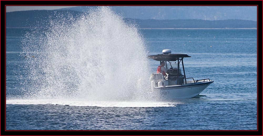 Jim Fortier Blocking the Escape Route at Sea - Petit Manan Island - Maine Coastal Islands National Wildlife Refuge