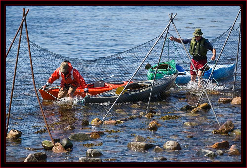 Robby & Pat on the Round-up... - Petit Manan Island - Maine Coastal Islands National Wildlife Refuge